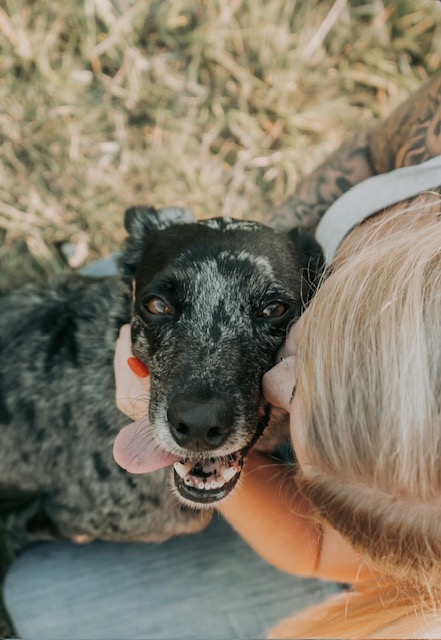 One of Alexa's dogs giving her a kiss
